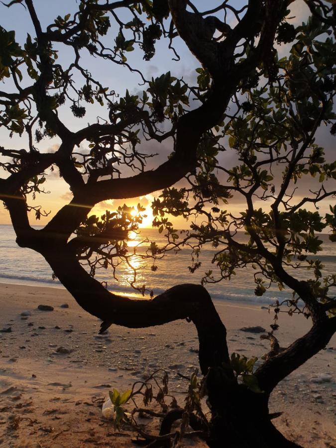 Isle Royal Inn Fuvahmulah Exteriér fotografie